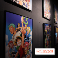 One Piece à l'Aquarium de Paris