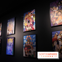 One Piece à l'Aquarium de Paris
