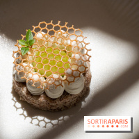 La terrasse estivale d'Apicius - A7C08922