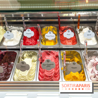 Artigelato, le nouveau glacier du 9e, près de l'Opéra - A7C09196