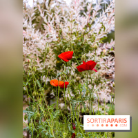 Les Jardins de Juliette à Elancourt