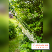 Les Jardins de Juliette à Elancourt
