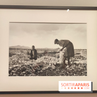 Marie-Laure de Decker exposition MEP - fotor 1748953185853