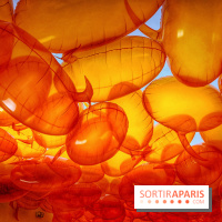 Euphoria - IMG 2730 2