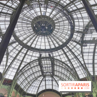 Grand Palais, visuels du monument parisien - fotor 1749119977401