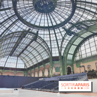 Grand Palais, visuels du monument parisien - fotor 1749119414521