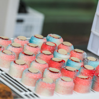 Un dimanche de folie à l’Hippodrome Paris-Vincennes  - BV 20240623103806BV1 8153