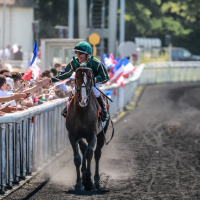 Un dimanche de folie à l’Hippodrome Paris-Vincennes  - BV 20240623161132A06A7888