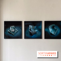 Exposition de Fred Atlan à la galerie Rachel Hardouin : au creux de mes paupières