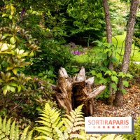 Le Jardin des Aubépines a Auffargis  - A7C01304