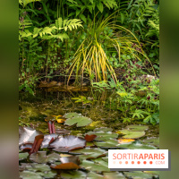 Le Jardin des Aubépines a Auffargis  - A7C01441