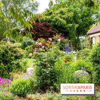 Le Jardin des Aubépines a Auffargis  - A7C01415