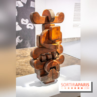 Exposition de Thảo Nguyên Phan au Palais de Tokyo