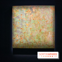 Exposition de Thảo Nguyên Phan au Palais de Tokyo - DSC 3087