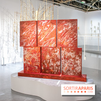Exposition de Thảo Nguyên Phan au Palais de Tokyo
