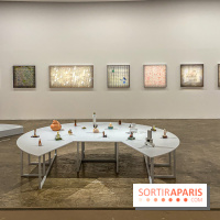 Exposition de Thảo Nguyên Phan au Palais de Tokyo - IMG 5831