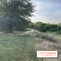 Le parc de l'Île-Saint-Denis - nos photos - 96DC1E52 629A 41C7 847C 4D6BC35C470A