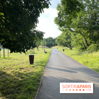 Le parc de l'Île-Saint-Denis - nos photos - 351276C5 155C 41C7 BF01 9B788017C7A5