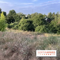 Le parc de l'Île-Saint-Denis - nos photos - C60ACAF0 A53D 4E50 8266 1C99F754FAE5