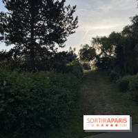 Le parc de l'Île-Saint-Denis - nos photos - F27223C3 19EC 4C59 A740 80F7FBB9726B