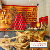 Arbre à sens - IMG 3066