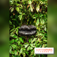 Grandeur Nature II, le festival d'art contemporain gratuit au parc du Château de Fontainebleau - A7C02754