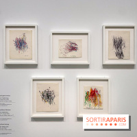 Niki de Saint Phalle, Jean Tinguely, Pontus Hultén : nos photos de l'expo inédite au Grand Palais - IMG 6156