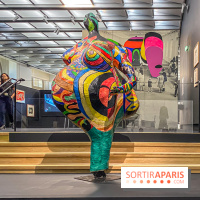 Niki de Saint Phalle, Jean Tinguely, Pontus Hultén : nos photos de l'expo inédite au Grand Palais - IMG 6172