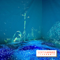 Topologie de l’Eau : Roches, Plantes et Vent - IMG 3240