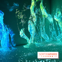 Topologie de l’Eau : Roches, Plantes et Vent - IMG 3247