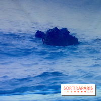 Topologie de l’Eau : Roches, Plantes et Vent - IMG 3250