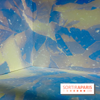 Topologie de l’Eau : Roches, Plantes et Vent - IMG 3252