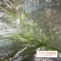 Topologie de l’Eau : Roches, Plantes et Vent