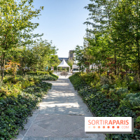 Hôtel de Ville - De Paris à Belem - Forêt Urbaine - Obey  - A7C03314