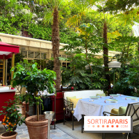 Patio terrasse La Réserve Paris - Terrasse