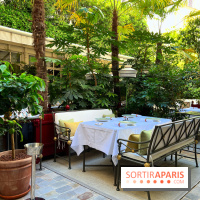 Patio terrasse La Réserve Paris - Terrasse