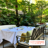 Patio terrasse La Réserve Paris - Terrasse