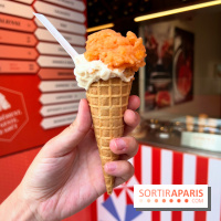 La Glace Alain Ducasse - Sorbet pamplemousse-vermouth, glace cacahuètes