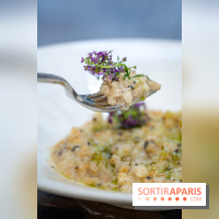 Maison Delano restaurant et terrasse cachée Paris 8e - céleri façon risotto