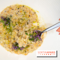 Maison Delano restaurant et terrasse cachée Paris 8e - céleri façon risotto