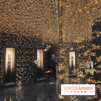 Les sept sens célestes : l'exposition qui mélange les genres et les époques à l'Hôtel de la Marine - fotor 1750929853965