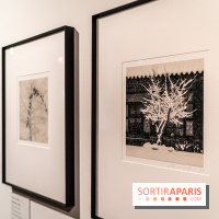 Exposition Haïkus d’argent, l’Asie photographiée par Michael Kenna au MuséeGuimet, les photos - A7C02203