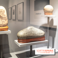 Exposition Haïkus d’argent, l’Asie photographiée par Michael Kenna au MuséeGuimet, les photos - A7C02207