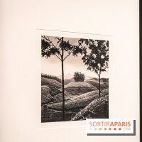 Exposition Haïkus d’argent, l’Asie photographiée par Michael Kenna au MuséeGuimet, les photos - A7C02221