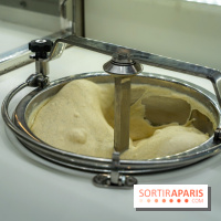 Pedone, le glacier Italien Paris 1er