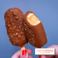 Chapon lance son bar à esquimaux cet été  - A7C04293