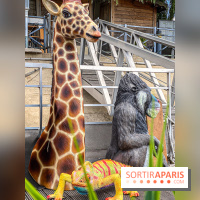 Adventure Boat : l’expérience immersive sur un bateau à Nogent-sur-Marne - IMG 6579