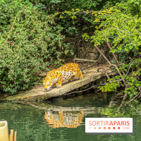 Adventure Boat : l’expérience immersive sur un bateau à Nogent-sur-Marne - IMG 6607