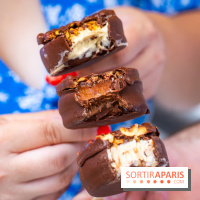 Les bouchées glacées de la Chocolaterie William Artigue, les esquimaux gourmands - A7C04189