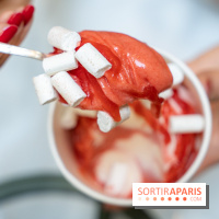 Les glaces gourmandes de l'Épicerie du Bristol - les photos